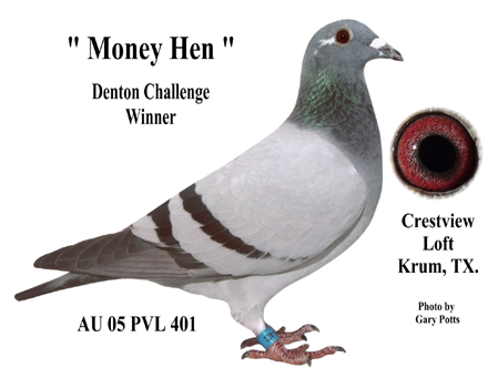 Money-Hen