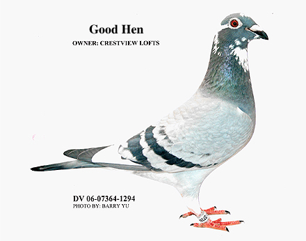 Good Hen