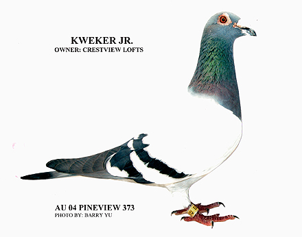 Kweker