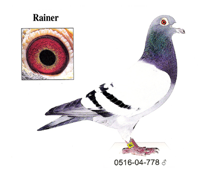 Rainer